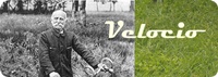 velocio